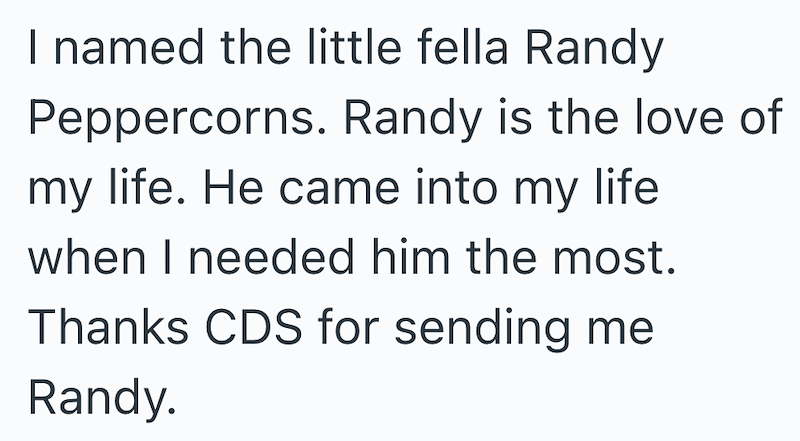 I named the little fella Randy Peppercorns. Randy is the love of my life. He came into my life when I needed him the most. Thanks CDS for sending me Randy.
