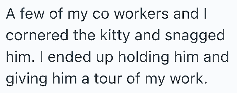 A few of my co workers and I cornered the kitty and snagged him. I ended up holding him and giving him a tour of my work.