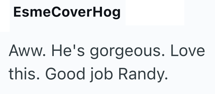 EsmeCoverHog Aww. He's gorgeous. Love this. Good job Randy.