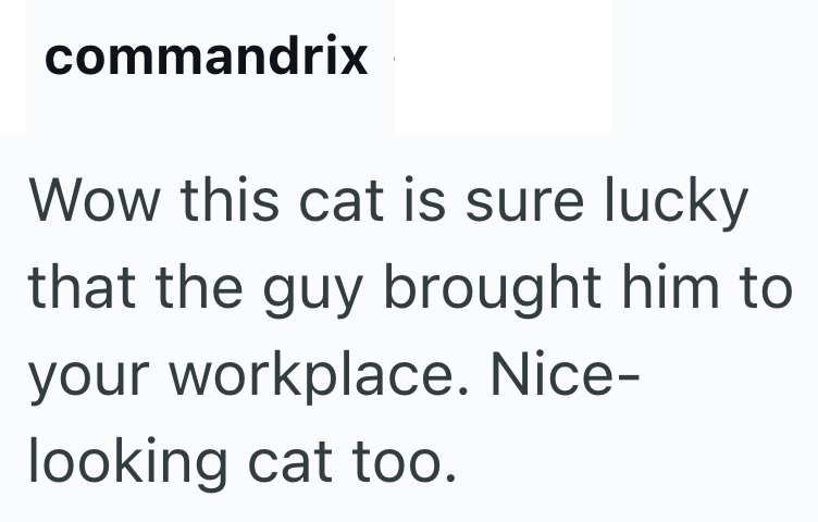commandrix Wow this cat is sure lucky that the guy brought him to your workplace. Nice- looking cat too.