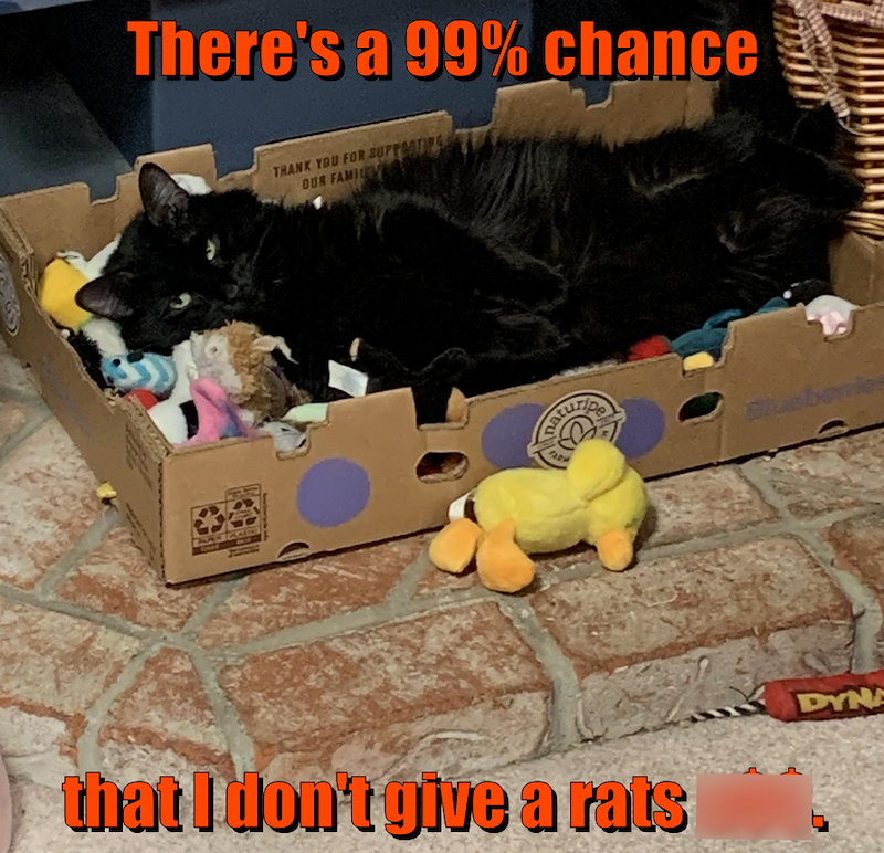 There's a 99% chance THANK YOU FOR SUPPORTING OUR FAMIL FARK Blusbeniss that I don't give a rats DYNA