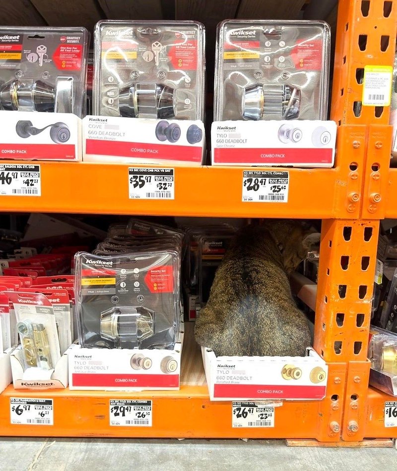 Kwildet MARTKEY SURITY Kwikset Security Series wikset SECURITY COMBO PACK SMT BIC BALBOA SOL CYLCHB 97 WWW.S $42 46% Kwiksg set Kwikset. 100 Kwikset COVE 660 DEADBOLT Venetian Bronge COMBO PACK Kwikset Security Series Kwikset TYLO 140 Kwikset TYLO 660 DEADBOLT Satin Chrome COMBO PACK KS SIC COVE CMS PCK VB SMT $3597 97 CRUCE $32 1006 478-203 Kwiloset 660 DEADBOLT COMBO PACK Security Set SHE MANANHWAY 97 GS KS ME PRO SOL CYL COMBO ANT BRASS $29471 $2652 Kwikset KS SEC TYLO SOL CYL COMBO $2.847 47