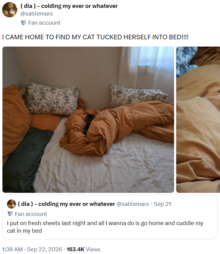 {dia } - colding my ever or whatever @sablemars Fan account I CAME HOME TO FIND MY CAT TUCKED HERSELF INTO BED!!!! { dia} - colding my ever or whatever @sablemars ⚫ Sep 21 Fan account I put on fresh sheets last night and all I wanna do is go home and cuddle my cat in my bed 1:38 AM · Sep 22, 2026 163.4K Views