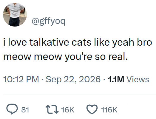 @gffyoq i love talkative cats like yeah bro meow meow you're so real. • • 10:12 PM Sep 22, 2026 1.1M Views > 81 1 16K 116K