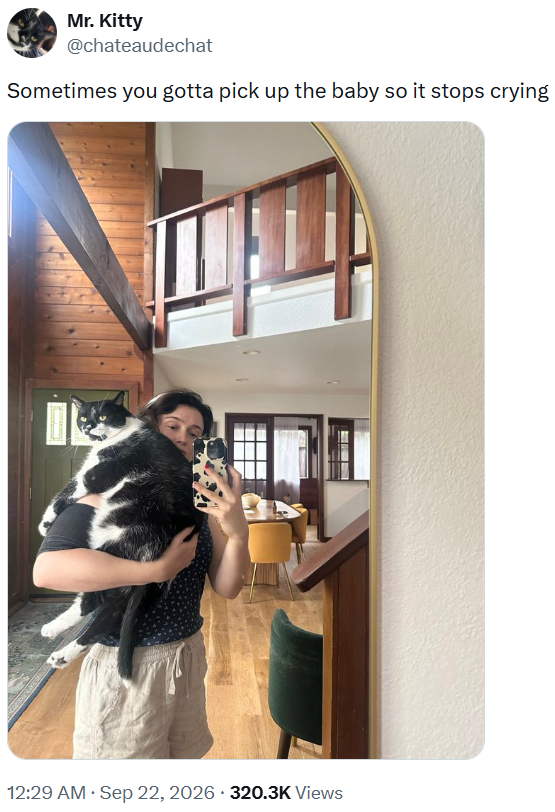Mr. Kitty @chateaudechat Sometimes you gotta pick up the baby so it stops crying 12:29 AM · Sep 22, 2026 320.3K Views