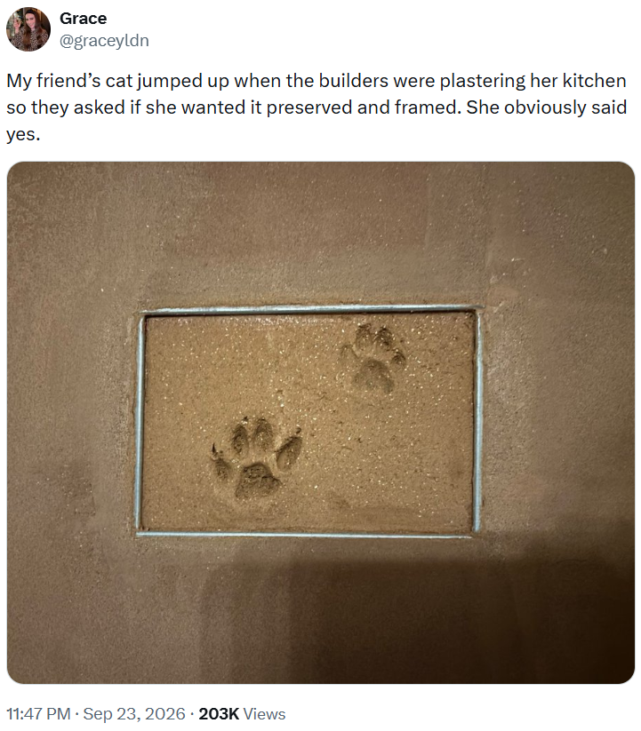 Grace @graceyldn My friend's cat jumped up when the builders were plastering her kitchen so they asked if she wanted it preserved and framed. She obviously said yes. 11:47 PM - Sep 23, 2026 203K Views