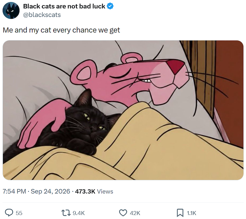 Black cats are not bad luck @blackscats Me and my cat every chance we get 7:54 PM · Sep 24, 2026 473.3K Views 55 9.4K 42K 1.1K
