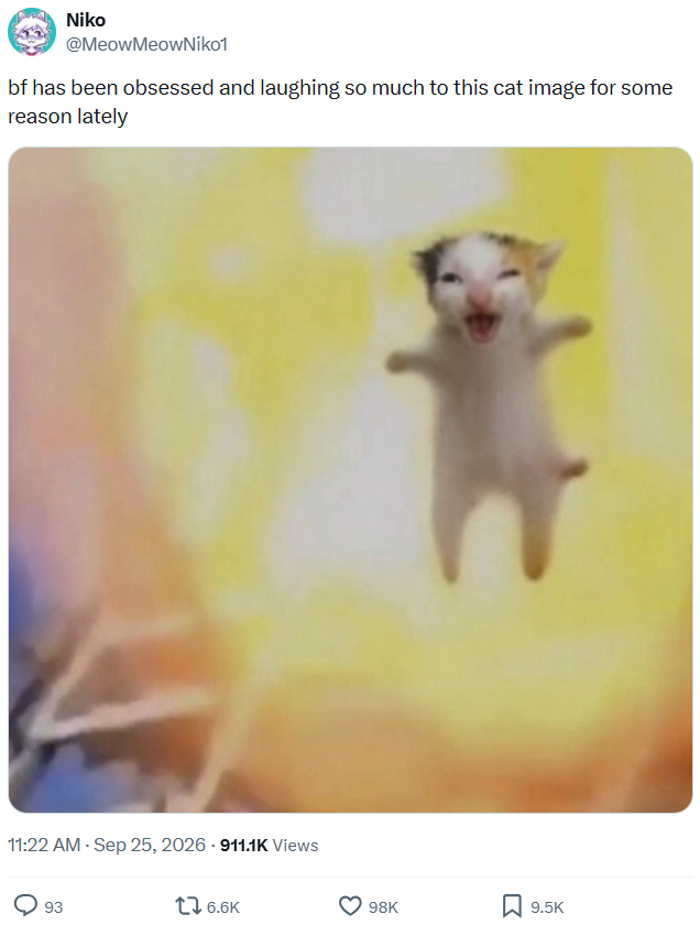Niko @Meow MeowNiko1 bf has been obsessed and laughing so much to this cat image for some reason lately 11:22 AM - Sep 25, 2026 - 911.1K Views 93 6.6K 98K ☐ 9.5K