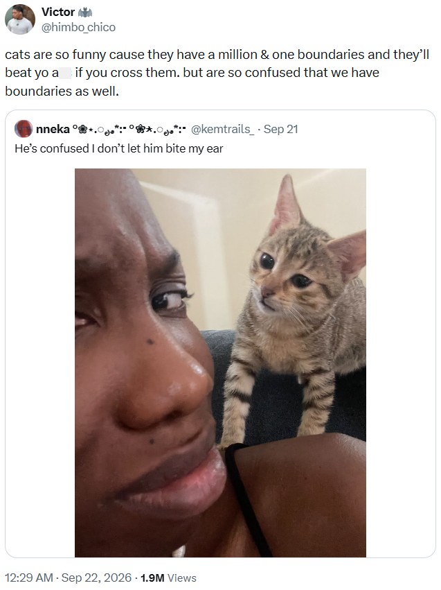 Victor @himbo_chico cats are so funny cause they have a million & one boundaries and they'll beat yo a if you cross them. but are so confused that we have boundaries as well. nneka° *: @kemtrails - Sep 21 He's confused I don't let him bite my ear 12:29 AM - Sep 22, 2026 1.9M Views