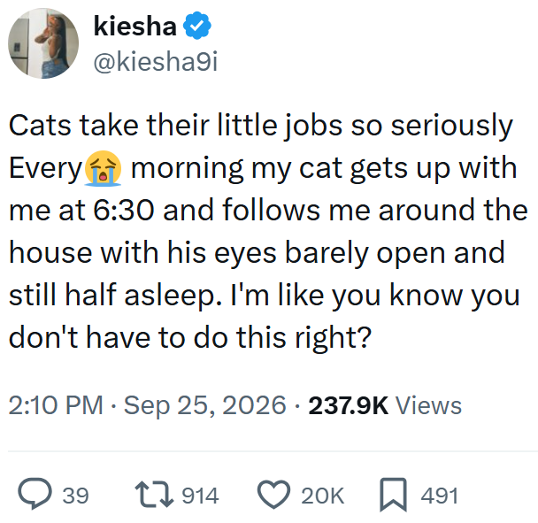 kiesha @kiesha9i Cats take their little jobs so seriously Every morning my cat gets up with me at 6:30 and follows me around the house with his eyes barely open and still half asleep. I'm like you know you don't have to do this right? • 2:10 PM Sep 25, 2026 · 237.9K Views ○ 39 1914 20K 491