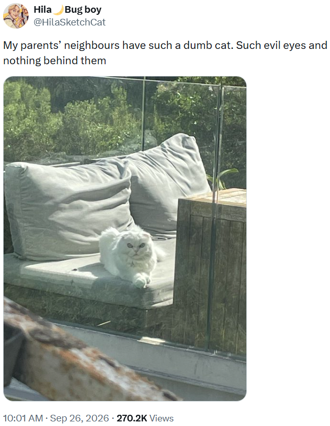 Hila Bug boy @HilaSketchCat My parents' neighbours have such a dumb cat. Such evil eyes and nothing behind them . 10:01 AM · Sep 26, 2026 270.2K Views