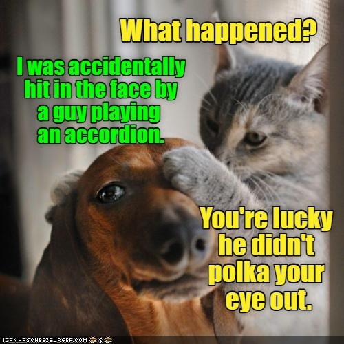 What happened? I was accidentally hit in the face by a guy playing an accordion. ICANHASCHEEZBURGER.COM You're lucky he didn't polka your eye out.