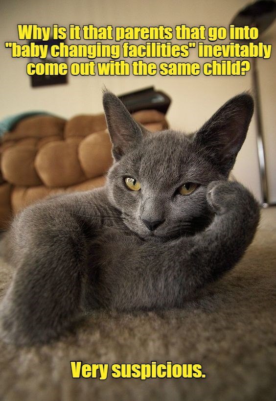 Why is it that parents that go into "baby changing facilities inevitably come out with the same child? Very suspicious.