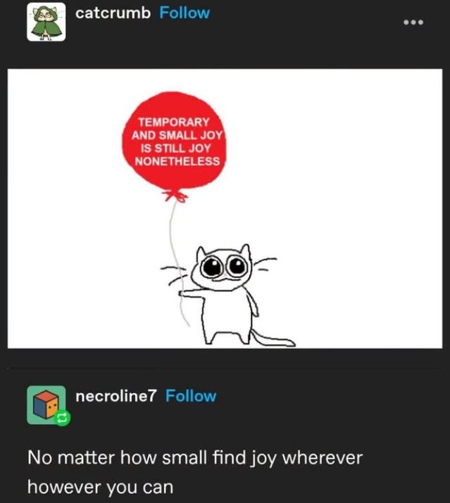 catcrumb Follow TEMPORARY AND SMALL JOY IS STILL JOY NONETHELESS necroline7 Follow No matter how small find joy wherever however you can