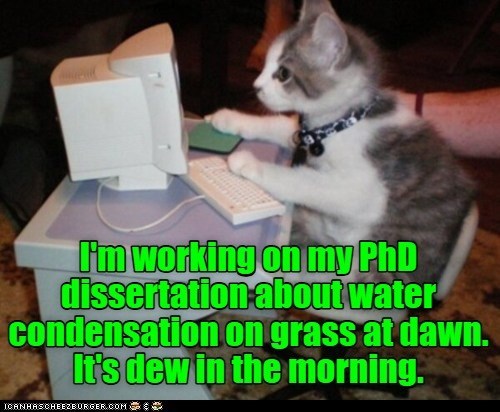 I'm working on my PhD dissertation about water condensation on grass at dawn. It's dew in the morning. ICANHASCHEEZBURGER.COM
