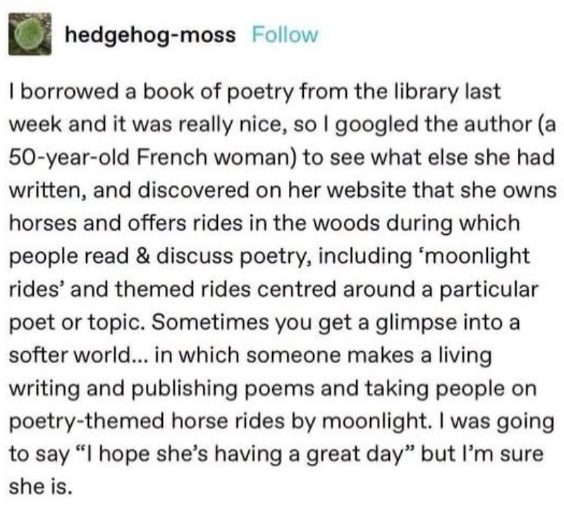 hedgehog-moss Follow I borrowed a book of poetry from the library last week and it was really nice, so I googled the author (a 50-year-old French woman) to see what else she had written, and discovered on her website that she owns horses and offers rides in the woods during which people read & discuss poetry, including 'moonlight rides' and themed rides centred around a particular poet or topic. Sometimes you get a glimpse into a softer world... in which someone makes a living writing and publis