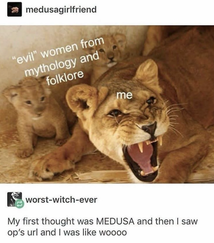 medusagirlfriend "evil" women from mythology and folklore me worst-witch-ever My first thought was MEDUSA and then I saw op's url and I was like woooo
