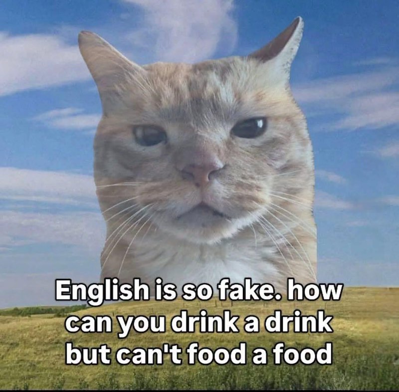 English is so fake. how can you drink a drink but can't food a food