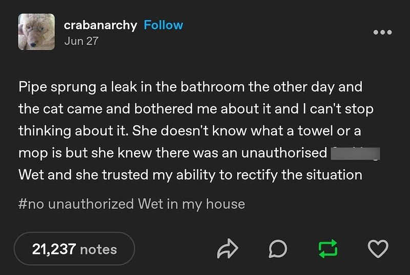 crabanarchy Follow Jun 27 Pipe sprung a leak in the bathroom the other day and the cat came and bothered me about it and I can't stop thinking about it. She doesn't know what a towel or a mop is but she knew there was an unauthorised Wet and she trusted my ability to rectify the situation #no unauthorized Wet in my house 21,237 notes D