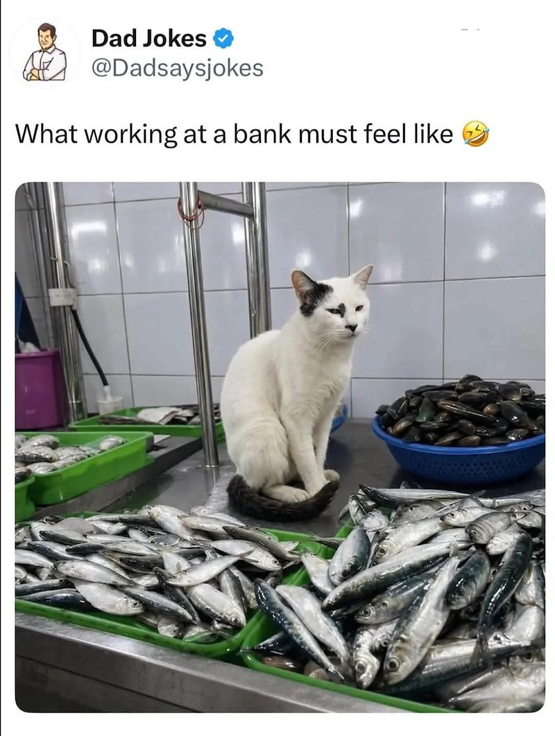 Dad Jokes ✔ @Dadsaysjokes What working at a bank must feel like