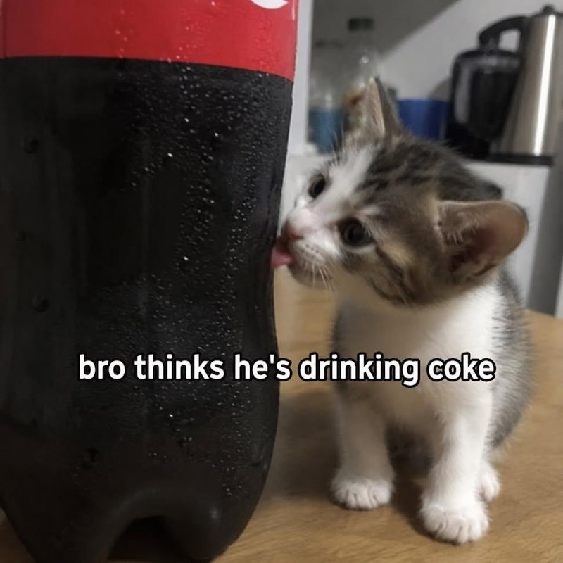 bro thinks he's drinking coke