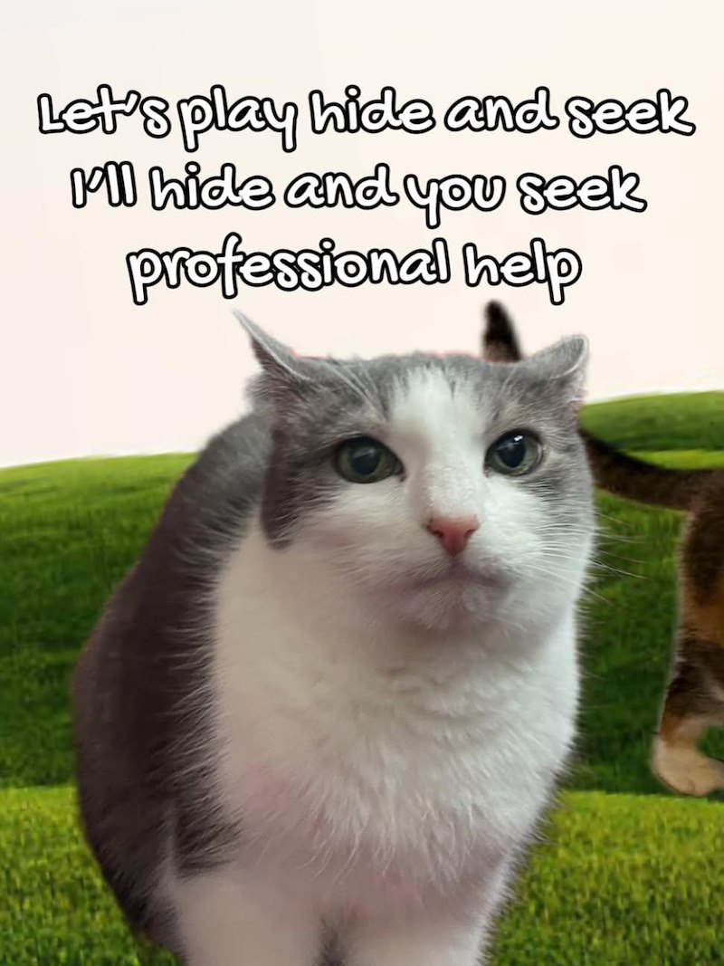 Let's play hide and seek I'll hide and you seek professional help