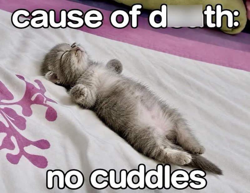 cause of d th: no cuddles