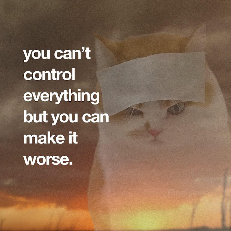 you can't control everything but you can make it worse.