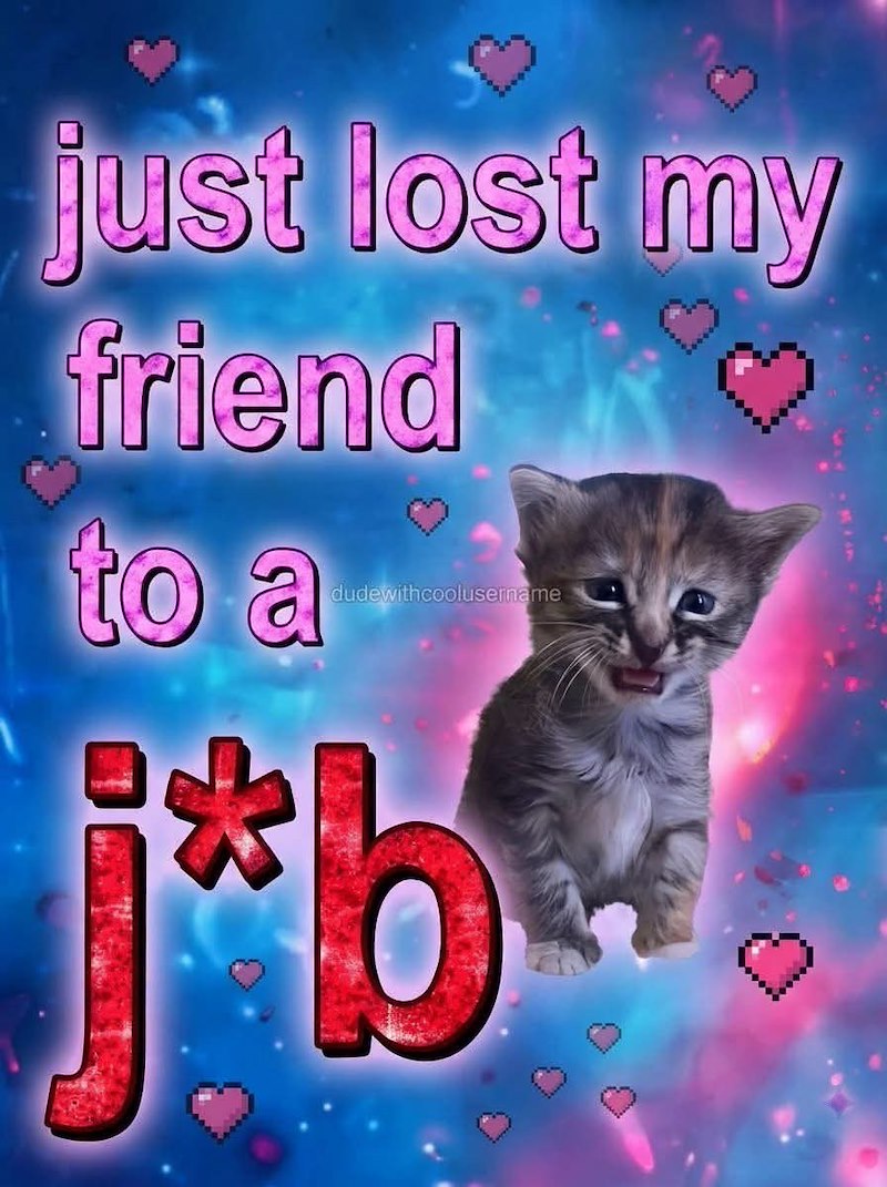 just lost my friend to a ♡ dudewithcoolusername j*b W