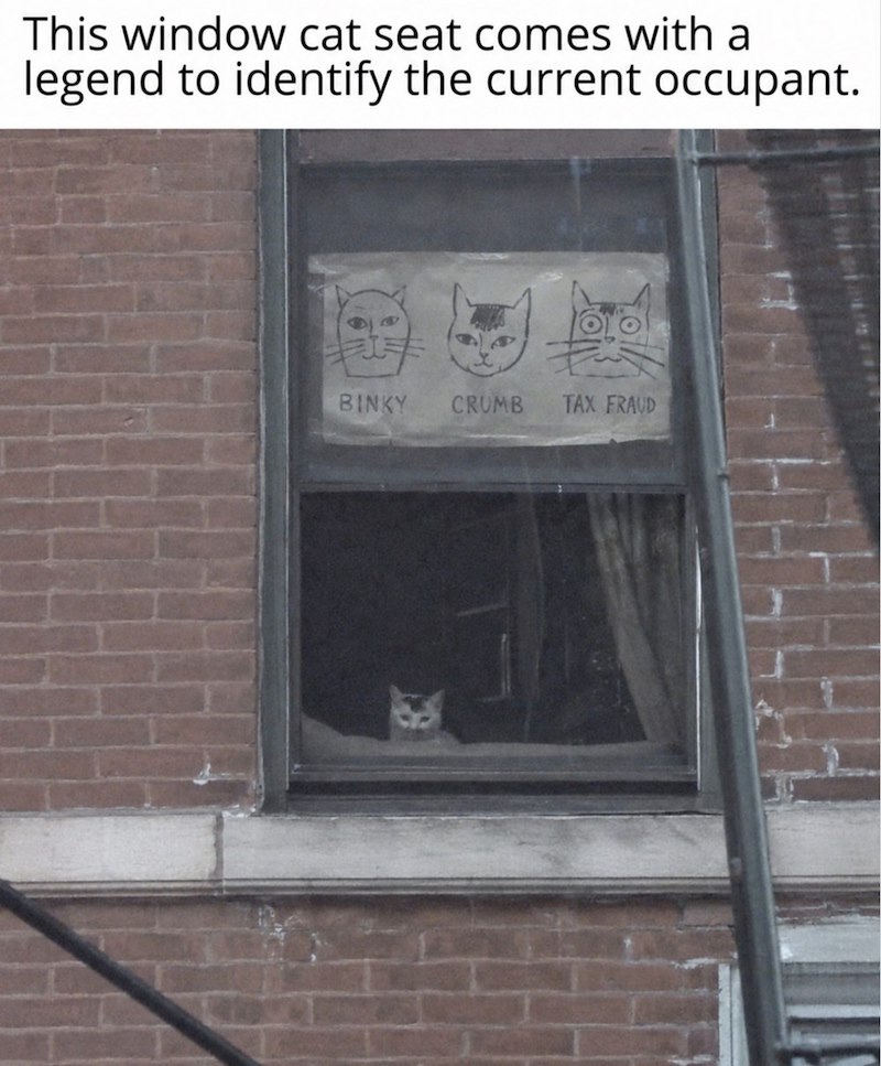 This window cat seat comes with a legend to identify the current occupant. Cen BINKY CRUMB TAX FRAUD