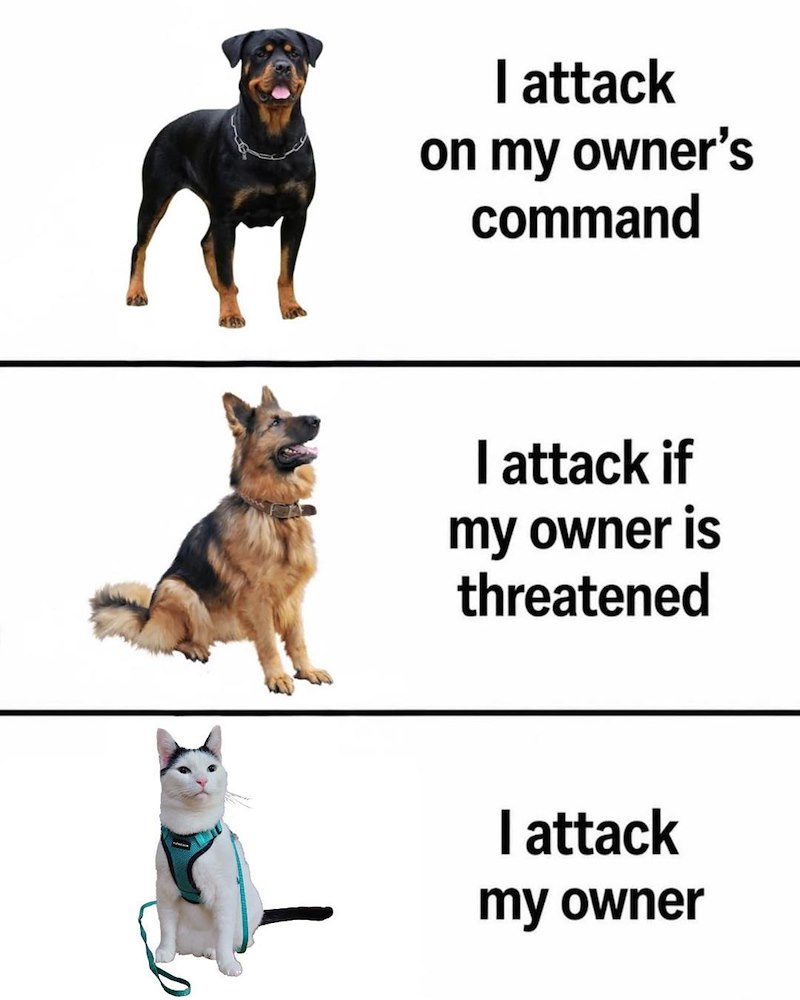 I attack on my owner's command I attack if my owner is threatened I attack my owner