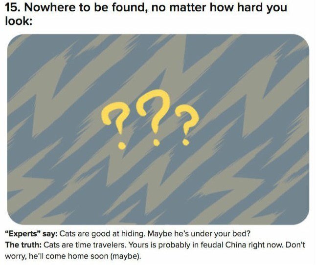 15. Nowhere to be found, no matter how hard you look: ??? "Experts" say: Cats are good at hiding. Maybe he's under your bed? The truth: Cats are time travelers. Yours is probably in feudal China right now. Don't worry, he'll come home soon (maybe).