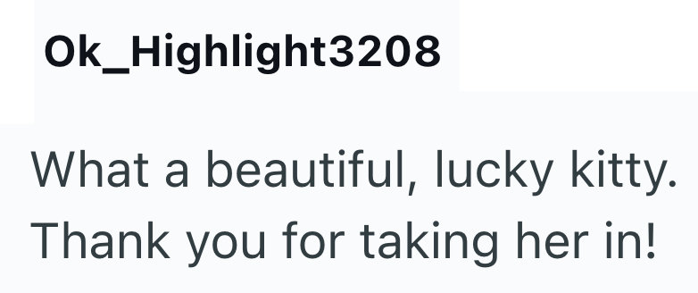 Ok_Highlight3208 What a beautiful, lucky kitty. Thank you for taking her in!