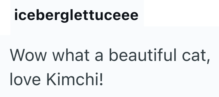iceberglettuceee Wow what a beautiful cat, love Kimchi!