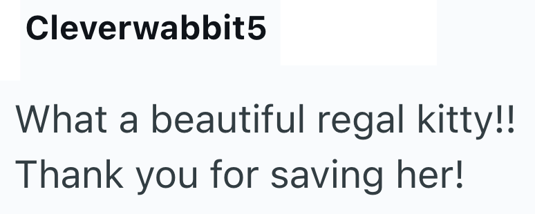 Cleverwabbit5 What a beautiful regal kitty!! Thank you for saving her!