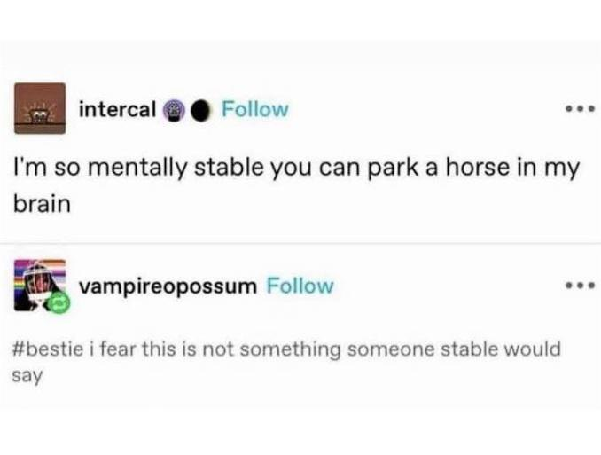 intercal Follow I'm so mentally stable you can park a horse in my brain vampireopossum Follow #bestie i fear this is not something someone stable would say