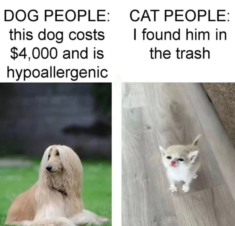 DOG PEOPLE: this dog costs $4,000 and is hypoallergenic CAT PEOPLE: I found him in the trash