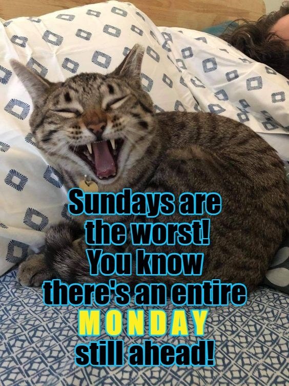 D Sundays are the worst! You know there's an entire MONDAY still ahead!