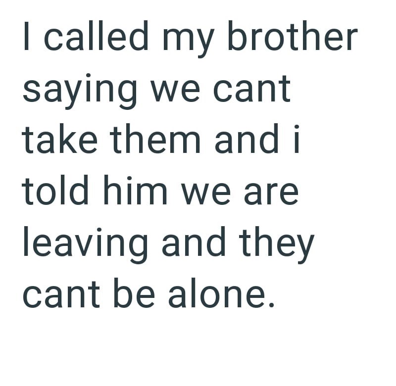 I called my brother saying we cant take them and i told him we are leaving and they cant be alone.