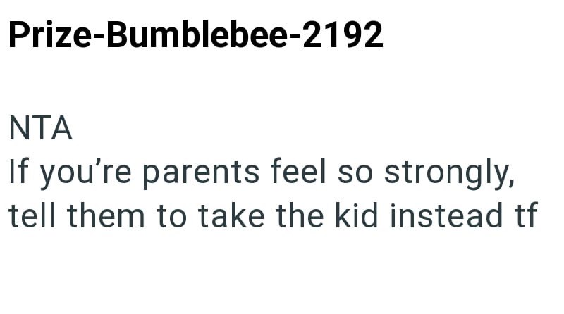 Prize-Bumblebee-2192 NTA If you're parents feel so strongly, tell them to take the kid instead tf