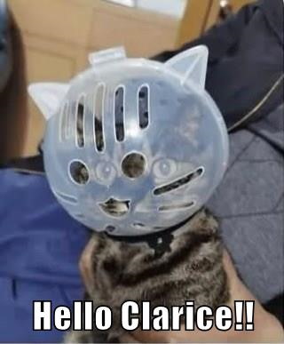Hello Clarice!!