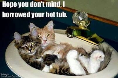 Hope you don't mind, I borrowed your hot tub. السلامة