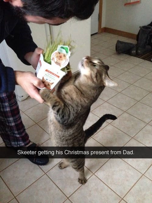Pet Skeeter getting his Christmas present from Dad.