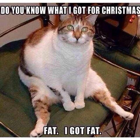 DO YOU KNOW WHAT I GOT FOR CHRISTMAS FAT. I GOT FAT.