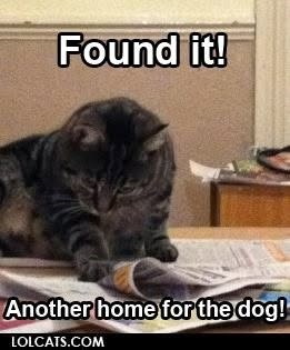 Found it! Another home for the dog! LOLCATS.COM