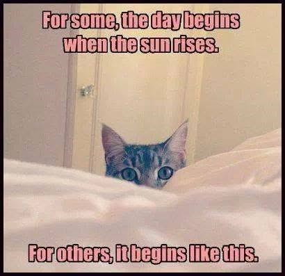 For some, the day begins when the sun rises. For others, it begins like this.