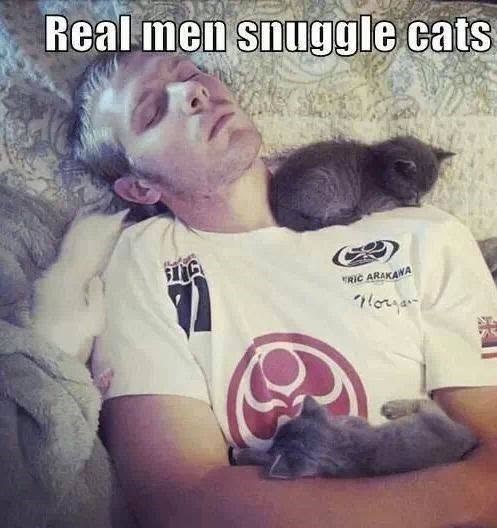 Real men snuggle cats TRIC ARAKAWA Morgan