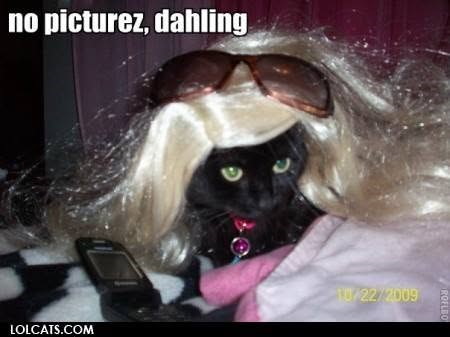 no picturez, dahling 10/22/2009 LOLCATS.COM ROELBO