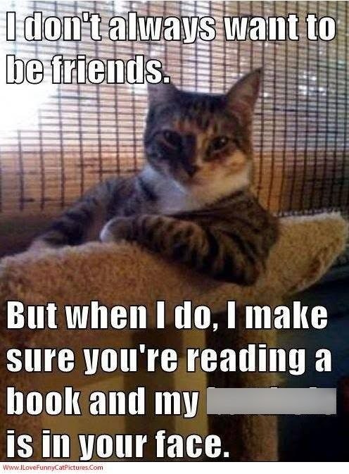 I don't always want to be friends. But when I do, I make sure you're reading a book and my is in your face. www.lLoveFunnyCatPictures.com