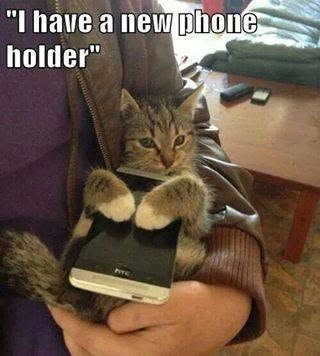 "I have a new phone holder"